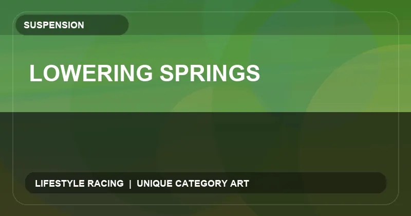 Lowering Springs